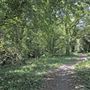 Barnes Common