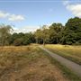 Barnes Common