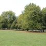 North Millfields Recreation Ground