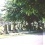 Putney Vale Cemetery