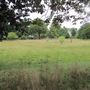 Long/Bell Meadow