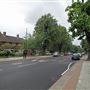 Dulwich Wood Avenue