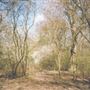 Monken Hadley Common