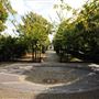 Dock Hill Avenue