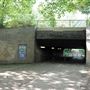 Russia Dock Woodland