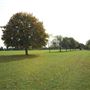 Purley Way Playing Fields
