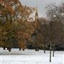 Kensington Gardens in the snow