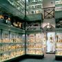 The Hunterian Museum
