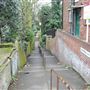 Warren Walk