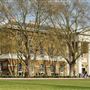 Saatchi Gallery