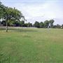 Acton Park