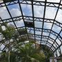Wolves Lane Horticultural Nursery