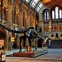 Natural History Museum