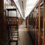 Natural History Museum