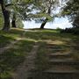 Richmond Park