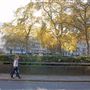 Cavendish Square
