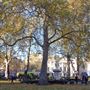 Cavendish Square