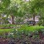 Portman Square Garden