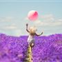 Mayfield Lavender Farm