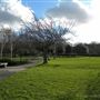 East Greenwich Pleasaunce