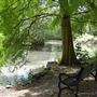 The Tarn