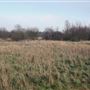 Fairlop Waters