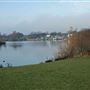 Fairlop Waters