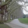 Canbury Gardens