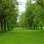 Foots Cray Meadows