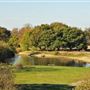 Mitcham Common