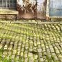 The Warehouse