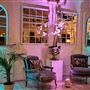 The New White Loft