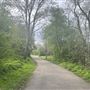 Birchmere Park