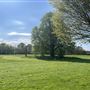 Fairy Hill Park