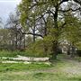 Waring Park