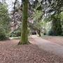 Lamorbey Park