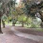 Lamorbey Park