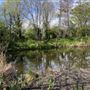 Camley Street Natural Park