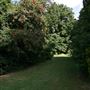Stephens House & Gardens