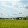 Foxfield Farm