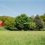 Foxfield Farm