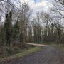 Wanstead Park