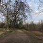 Wanstead Park