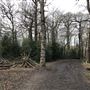 Wanstead Park