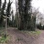 Wanstead Park