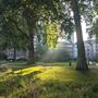 The Charterhouse