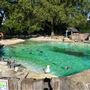 London Zoo