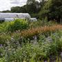 Soul Farm