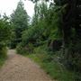 Abney Park Cemetery