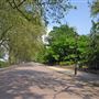 Battersea Park